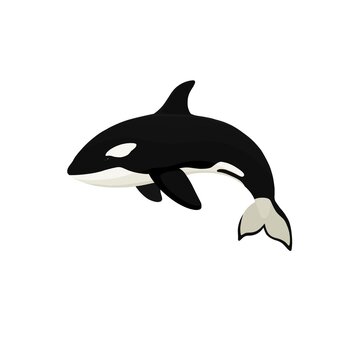 icon orca
