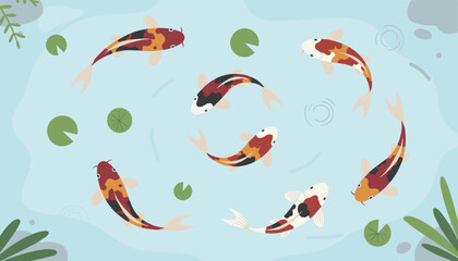 Obraz premium Japanese koi fish swim peacefully around green lily pads and rocks in a tranquil blue garden pond illustration.