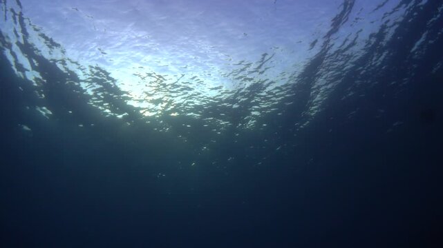 underwater view of the sun in wakatobi