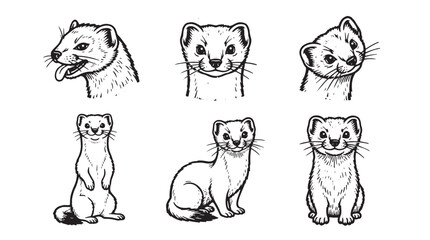 Obraz premium Set of cute ferret illustrations in black and white line art style, featuring various poses and expressions for wildlife design projects, stickers