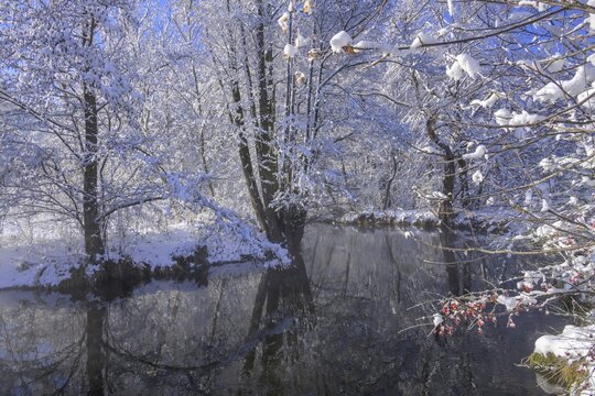 Wonderful winter atmosphere on the Piesting River, Piesting, Lower Austria, Austria