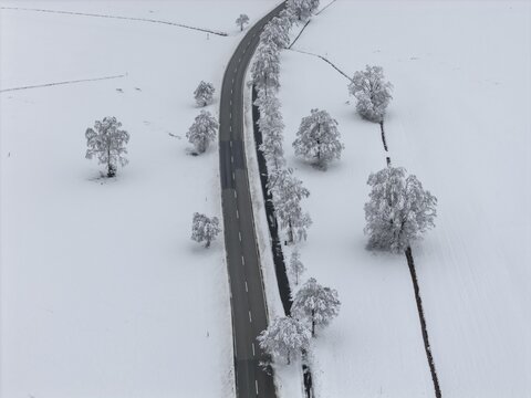 Snow, road, trees, winter, onset of winter, aerial view, foothills of the Alps, Bavaria, Germany