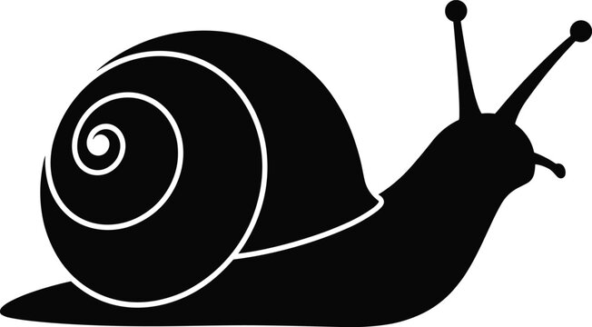 Garden snail silhouette vector illustration with spiral shell, crawling body, and slow pace concepts