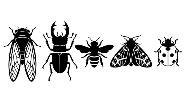 Set of six black insect silhouettes including cicada stag beetle bee moth and ladybug.