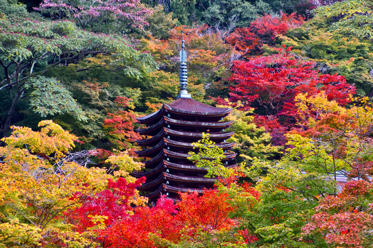 秋の談山神社・十三重塔（奈良県・桜井市）