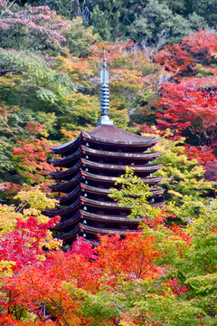 秋の談山神社・十三重塔（奈良県・桜井市）
