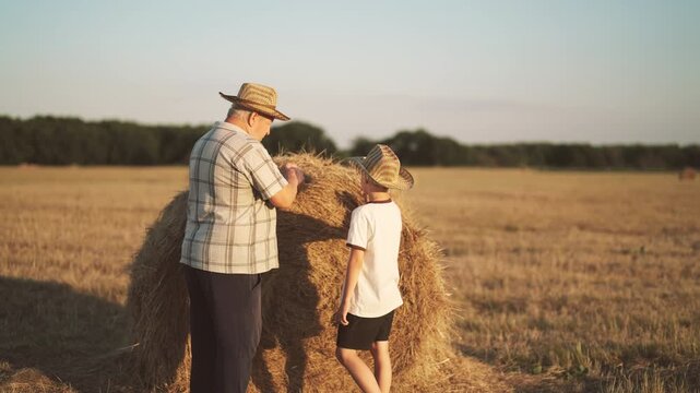 Grandson and grandfather viewing haystack in farmland, harvesting season. Beautiful rural scenery, summer vacation in countryside, grandpa and little boy walking in fields together, eco-farming