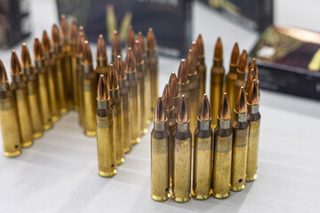 Many Rifle Cartridges Standing In Rows On White Table © GioRez
