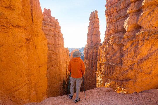 Hike in Bryce