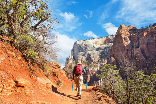 Hike in Zion