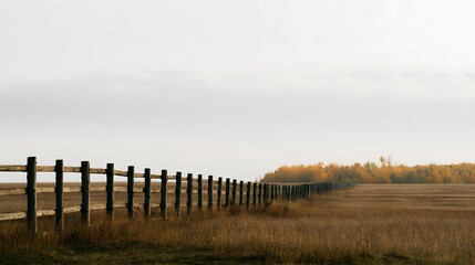 Obraz premium Endless wooden fence leading towards a distant forest in a golden autumn meadow