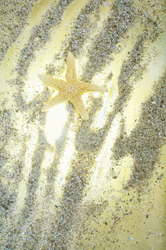 A starfish and seashells on golden sand illuminated by bright sunlight. Summer beach vibes, tropical vacation, marine nature, and bright background for summer designs.