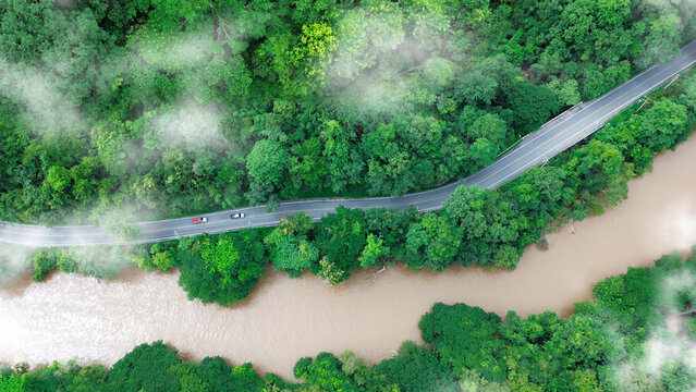 A vibrant red truck drives gracefully on a serpentine road through a lush green forest,, ESG, sustainability and green investment business concepts.