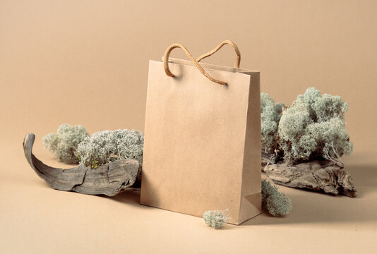 Paper bag and natural dry snags and moss.