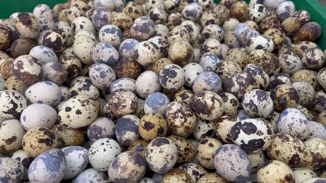 Fresh raw quail eggs heap at traditional market stall