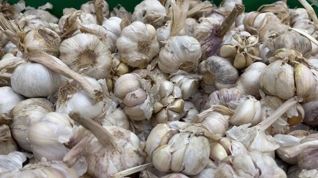 Close up view of fresh garlic bulbs pile in marketplace