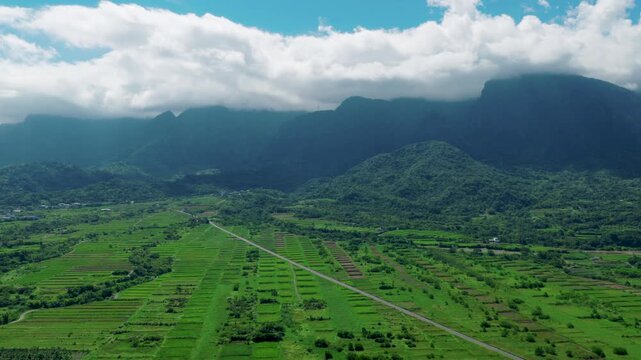 Aerial view of a lush green landscape with rice paddies and mountains, Taiwan