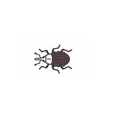 Plum curculio insect pest damaging plum, peach, apple and other fruit crops, snout beetle causing fruit scars and larval fruit damage, scientific name Conotrachelus nenuphar © Zul