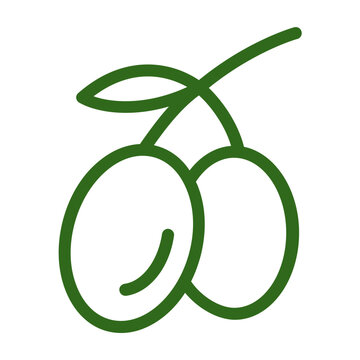 Olives branch fruit line icon