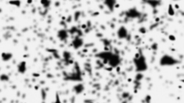 Abstract black ink splatters on white background. 2d animation