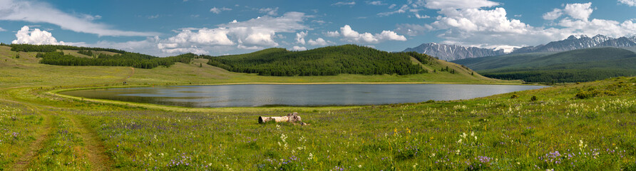 Obraz premium A beautiful alpine panoramic view of a high-mountain lake