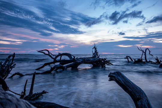 Intricate weathered tree branches and tide washing over the sandy shore at Driftwood Beach on Jekyll Island in Georgia