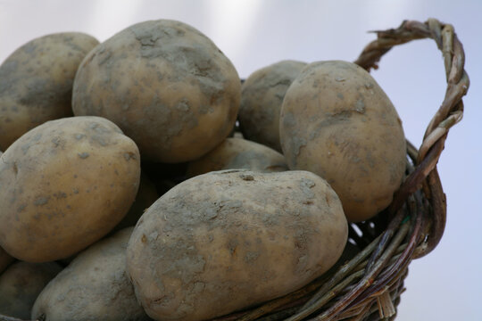 Kartoffeln