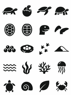 Sea Turtle Life Cycle and Ocean Marine Life Silhouette Icon Set