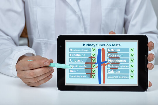 Medical practitioner pointing with a pen at a digital kidney function test panel on a tablet display during a renal health assessment