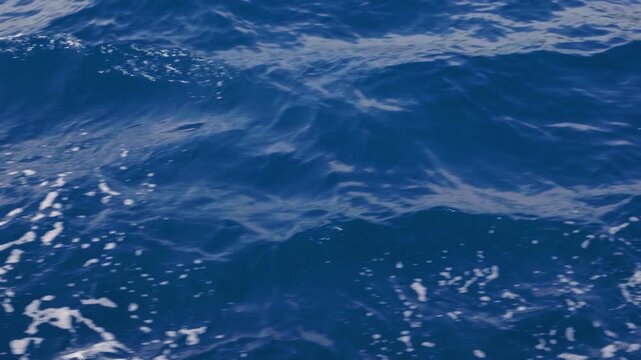 Ocean surface and foaming waves. 