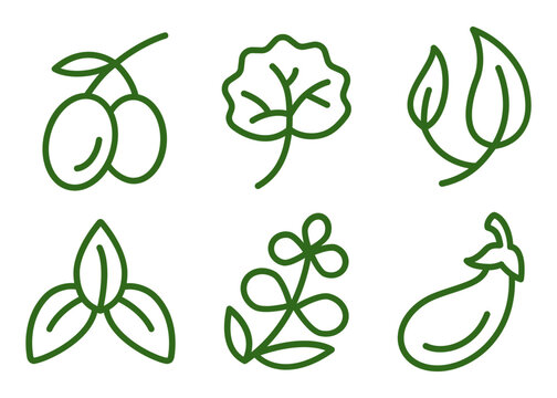 Botanical natural ingredients line icon set