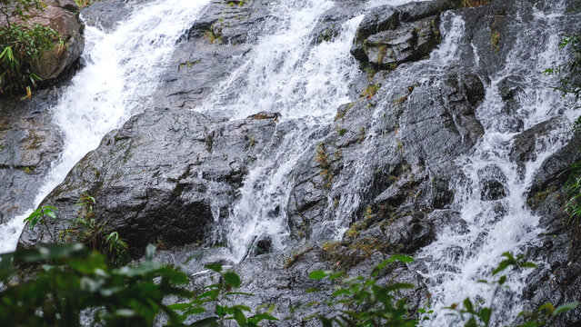 Landscape of the river flowing through the waterfall in the forest