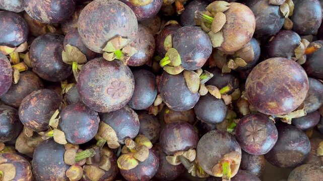 Close up of fresh raw mangosteen fruits heap