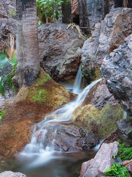 Waterfall at Zebedee Springs, East Kimberley