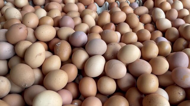 eggs in the market