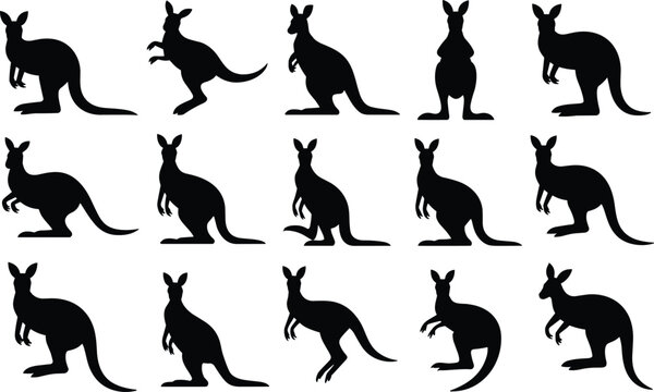 Set of kangaroo silhouettes in various standing and jumping poses on a white background, animal icons