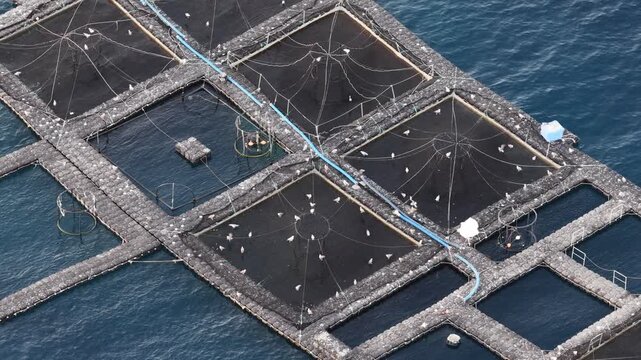 Aerial view of fish farm cages in the Mediterranean Sea, France.