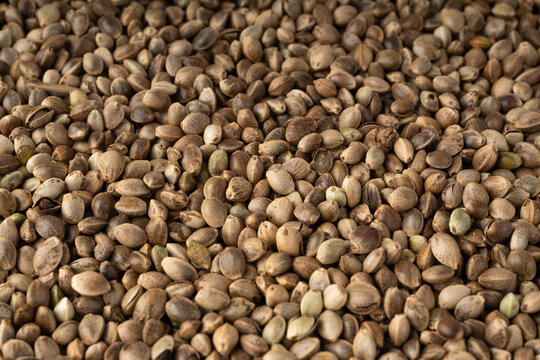 Hemp seeds pile texture background