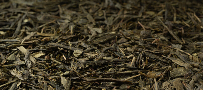 Green tea leaves macro textured background