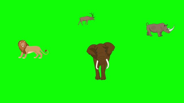 Wild animals cartoon animation video