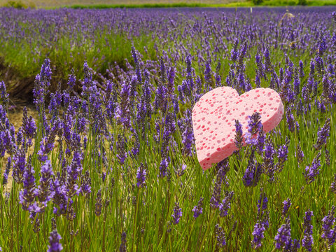 Lavender field and heart shaped pink sponge. Spa aromatherapy and cosmetology.