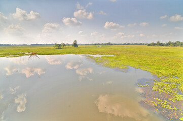 Landscape and villages on Majuli (also spelled Majoli)  the largest river island in Assam and the world's largest inland river island, a state in Northeast India.  © robnaw
