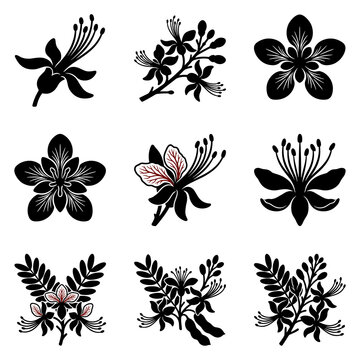 Set of nine tamarind flower and leaf silhouette icons featuring botanical illustrations of Tamarindus indica blossoms, buds, and tropical foliage in a clean black and white vector style.