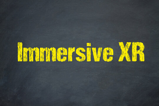 Immersive XR	
