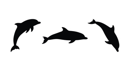 Fototapeta premium Three dolphin silhouettes are displayed against a plain white background creating a marine scene