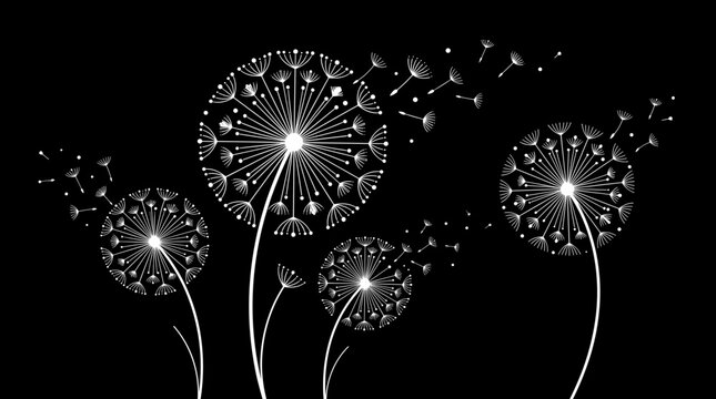 White dandelions blowing in wind against black background. Ideal for atmospheric wall art, night posters, relaxing wellness banners.
