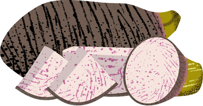 Fresh Whole and Sliced Taro Root Talas Vector Illustration Isolated on White Background