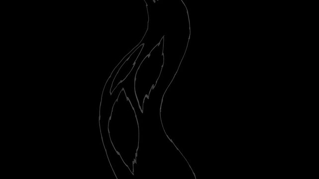  Minimal line art animation of spooky ghost smoke rising and looping on a black background.