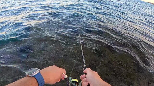 Slow motion POV of angler working topwater walking lure with ultralight rockfishing rod