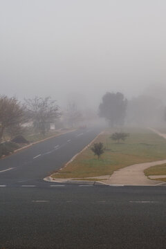 Cold Foggy Morning in the Suburbs of Canberra